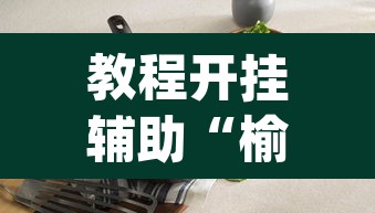 教程开挂辅助“榆林打锅子开挂神器下载”(透视)其实确实有挂