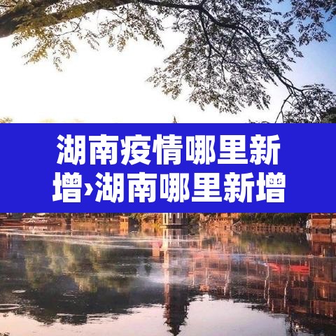 湖南疫情哪里新增›湖南哪里新增1例