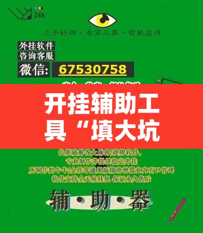 开挂辅助工具“填大坑万能开挂器”其实确实有挂