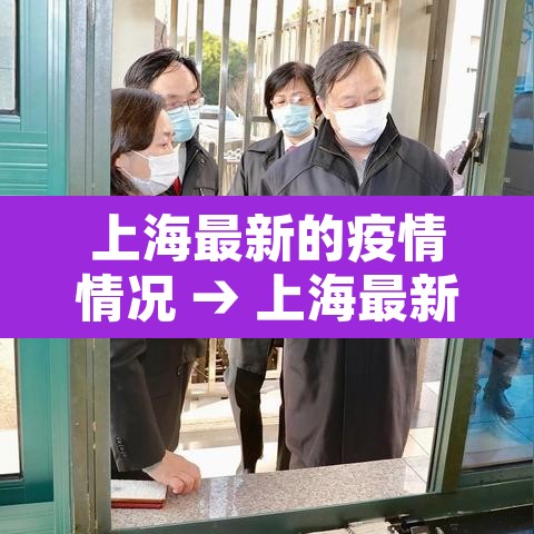上海最新的疫情情况 → 上海最新的疫情情况如何