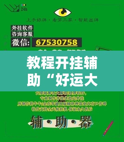 教程开挂辅助“好运大菠萝辅助软件”(透视挂)辅助透视教程