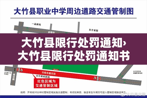 大竹县限行处罚通知›大竹县限行处罚通知书