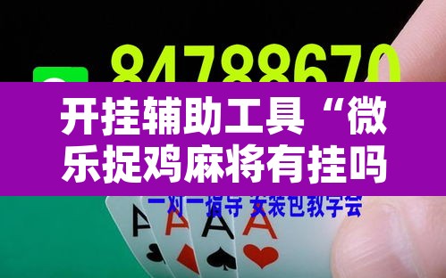 开挂辅助工具“微乐捉鸡麻将有挂吗”其实确实有挂