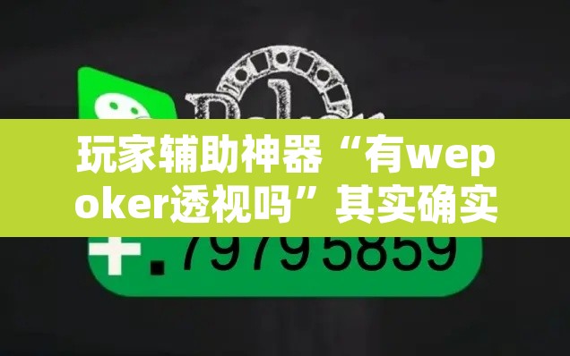 玩家辅助神器“有wepoker透视吗”其实确实有挂