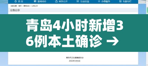 青岛4小时新增36例本土确诊 → 青岛4例新型肺炎在哪里