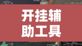 开挂辅助工具“方片十三张真的有挂吗”其实确实有挂