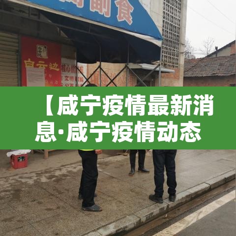 【咸宁疫情最新消息·咸宁疫情动态】