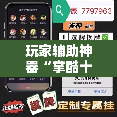 玩家辅助神器“掌酷十三张辅助	”开挂辅助脚本+详细开挂安装教程