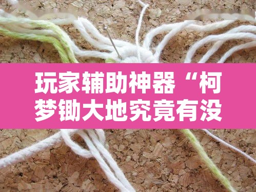 玩家辅助神器“柯梦锄大地究竟有没有挂	”其实确实有挂