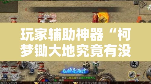 玩家辅助神器“柯梦锄大地究竟有没有挂”其实确实有挂