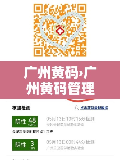 广州黄码›广州黄码管理要求