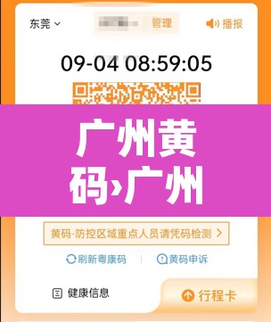 广州黄码›广州黄码管理要求