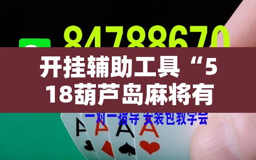 开挂辅助工具“518葫芦岛麻将有没有挂”开挂辅助脚本+详细开挂安装教程