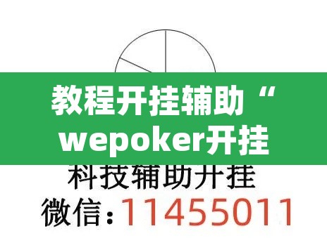 教程开挂辅助“wepoker开挂透视辅助”其实确实有挂