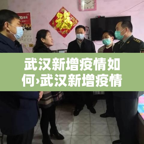 武汉新增疫情如何›武汉新增疫情活动轨迹