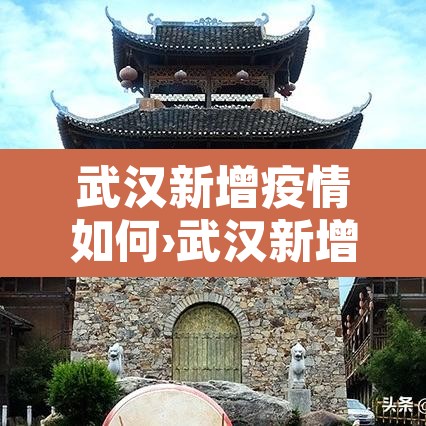 武汉新增疫情如何›武汉新增疫情活动轨迹