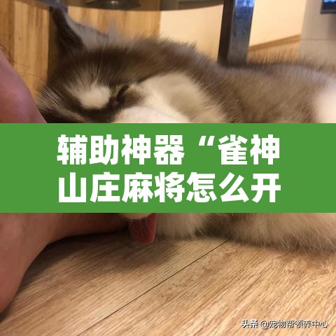 辅助神器“雀神山庄麻将怎么开挂”其实确实有挂