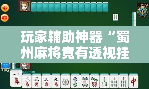 玩家辅助神器“蜀州麻将竟有透视挂吗”附辅助神器开挂脚本详细步骤