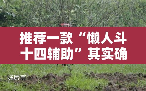 推荐一款“懒人斗十四辅助”其实确实有挂