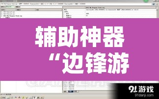 辅助神器“边锋游戏辅助器”开挂辅助脚本+详细开挂安装教程