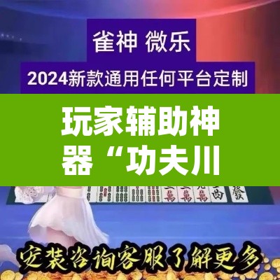 玩家辅助神器“功夫川麻辅助器安装包”(透视挂)辅助透视教程