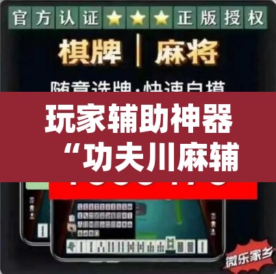 玩家辅助神器“功夫川麻辅助器安装包”(透视挂)辅助透视教程