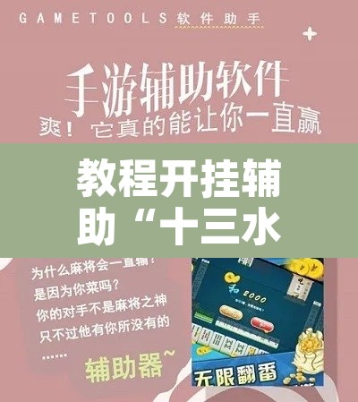 教程开挂辅助“十三水玩法规则和技巧	”开挂辅助脚本+详细开挂安装教程
