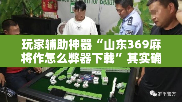 玩家辅助神器“山东369麻将作怎么弊器下载	”其实确实有挂