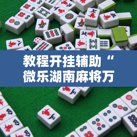 教程开挂辅助“微乐湖南麻将万能开挂器通用版”开挂辅助脚本+详细开挂安装教程