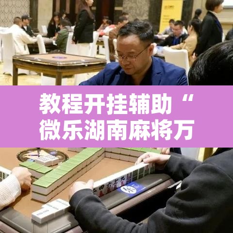 教程开挂辅助“微乐湖南麻将万能开挂器通用版	”开挂辅助脚本+详细开挂安装教程