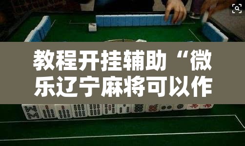 教程开挂辅助“微乐辽宁麻将可以作弊吗”其实确实有挂