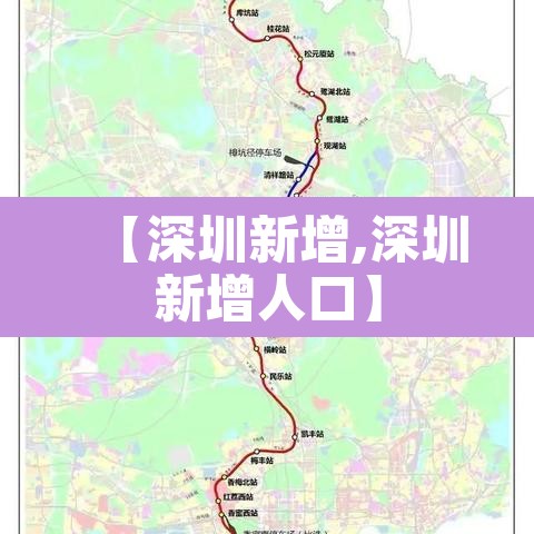 【深圳新增,深圳新增人口】