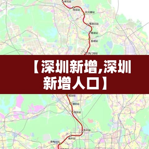 【深圳新增,深圳新增人口】
