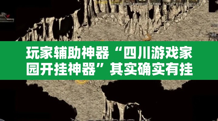 玩家辅助神器“四川游戏家园开挂神器”其实确实有挂