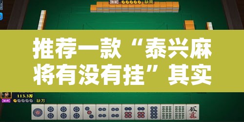 推荐一款“泰兴麻将有没有挂”其实确实有挂