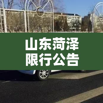 山东菏泽限行公告最新 → 山东菏泽限行查询