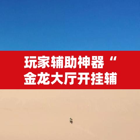玩家辅助神器“金龙大厅开挂辅助软件	”(透视挂)辅助透视教程
