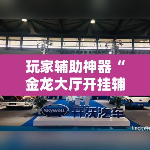 玩家辅助神器“金龙大厅开挂辅助软件”(透视挂)辅助透视教程