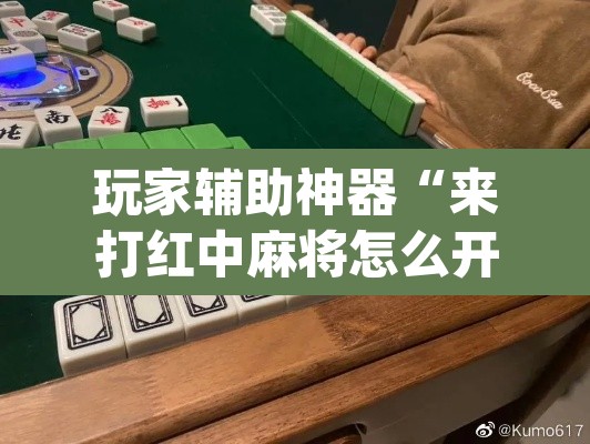 玩家辅助神器“来打红中麻将怎么开挂”(透视)其实确实有挂
