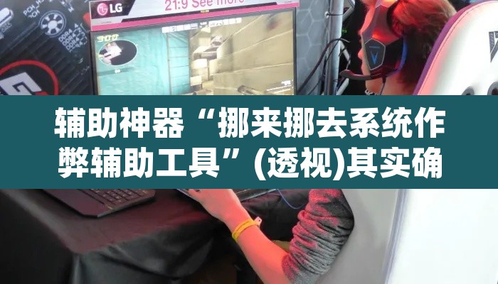 辅助神器“挪来挪去系统作弊辅助工具	”(透视)其实确实有挂