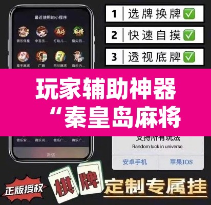玩家辅助神器“秦皇岛麻将真的可以开挂吗	”(透视挂)辅助透视教程
