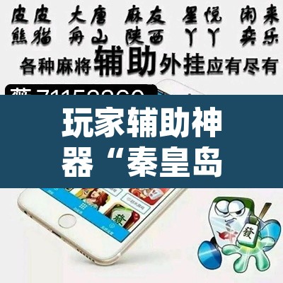 玩家辅助神器“秦皇岛麻将真的可以开挂吗”(透视挂)辅助透视教程