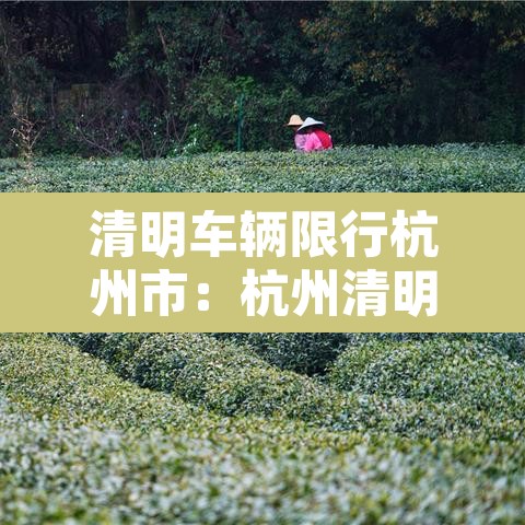 清明车辆限行杭州市：杭州清明限行时间
