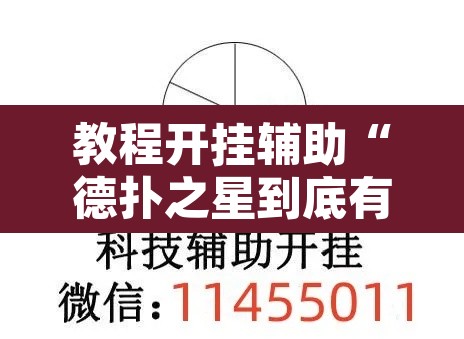 教程开挂辅助“德扑之星到底有没有透视”其实确实有挂
