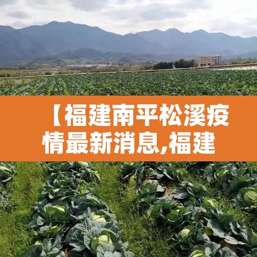 【福建南平松溪疫情最新消息,福建南平疫情最新通告】 【福建南平松溪疫情最新消息,福建南平疫情最新通告】