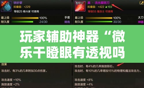 玩家辅助神器“微乐干瞪眼有透视吗”(透视)其实确实有挂