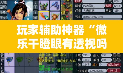 玩家辅助神器“微乐干瞪眼有透视吗	”(透视)其实确实有挂