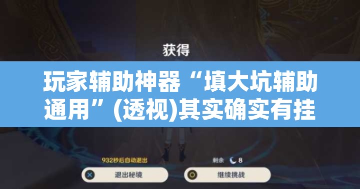 玩家辅助神器“填大坑辅助通用	”(透视)其实确实有挂