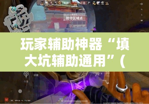 玩家辅助神器“填大坑辅助通用”(透视)其实确实有挂