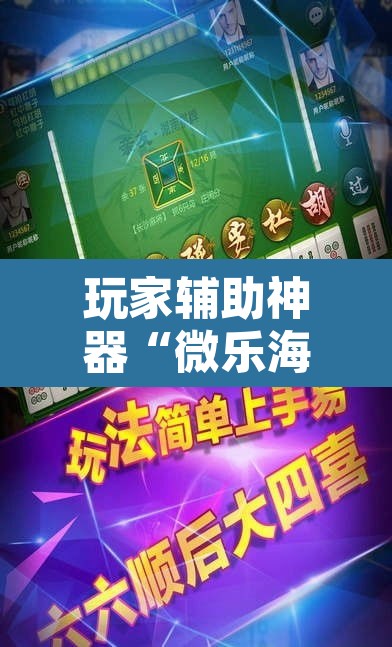 玩家辅助神器“微乐海南麻将小程序必赢神器”其实确实有挂